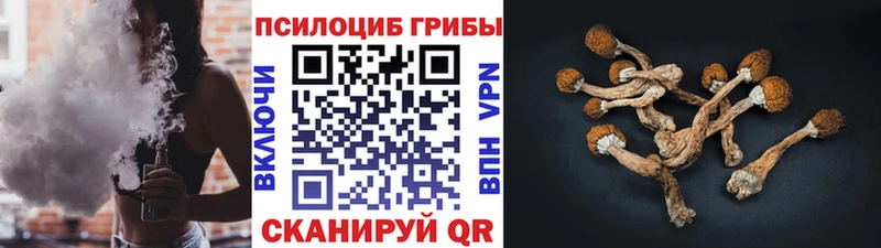 Галлюциногенные грибы прущие грибы  хочу   Кирово-Чепецк 