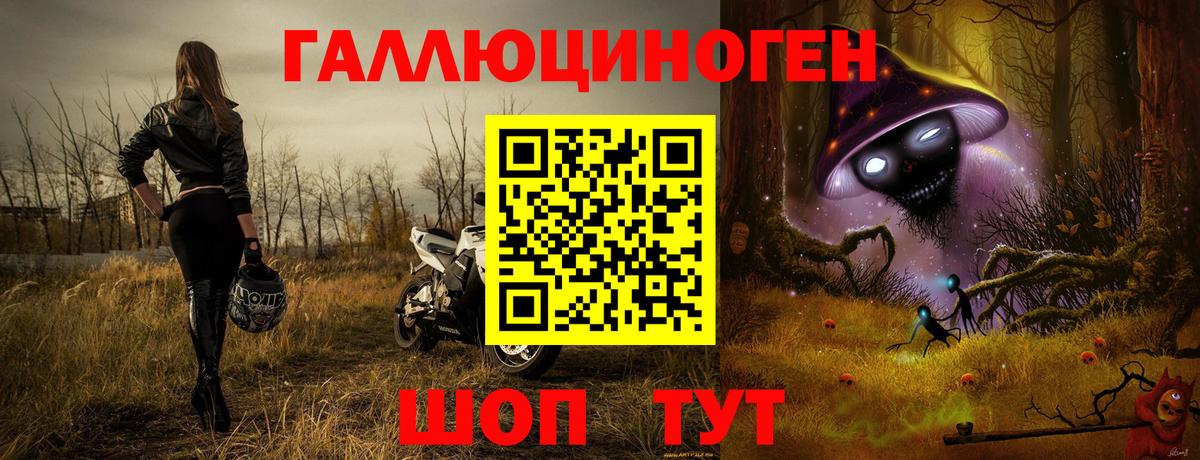 Кирово-Чепецк  Галлюциногенные грибы Cubensis  Вход с VPN 